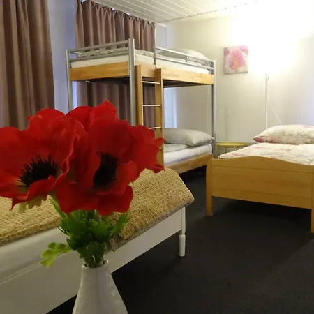 Hostel King *