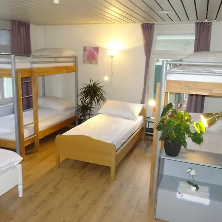 Auberge de jeunesse King *